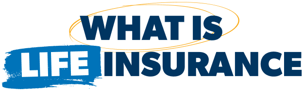 What is Life Insurance?
