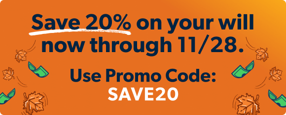 Save 20% on your will now through November 28th. Use promo code: SAVE20