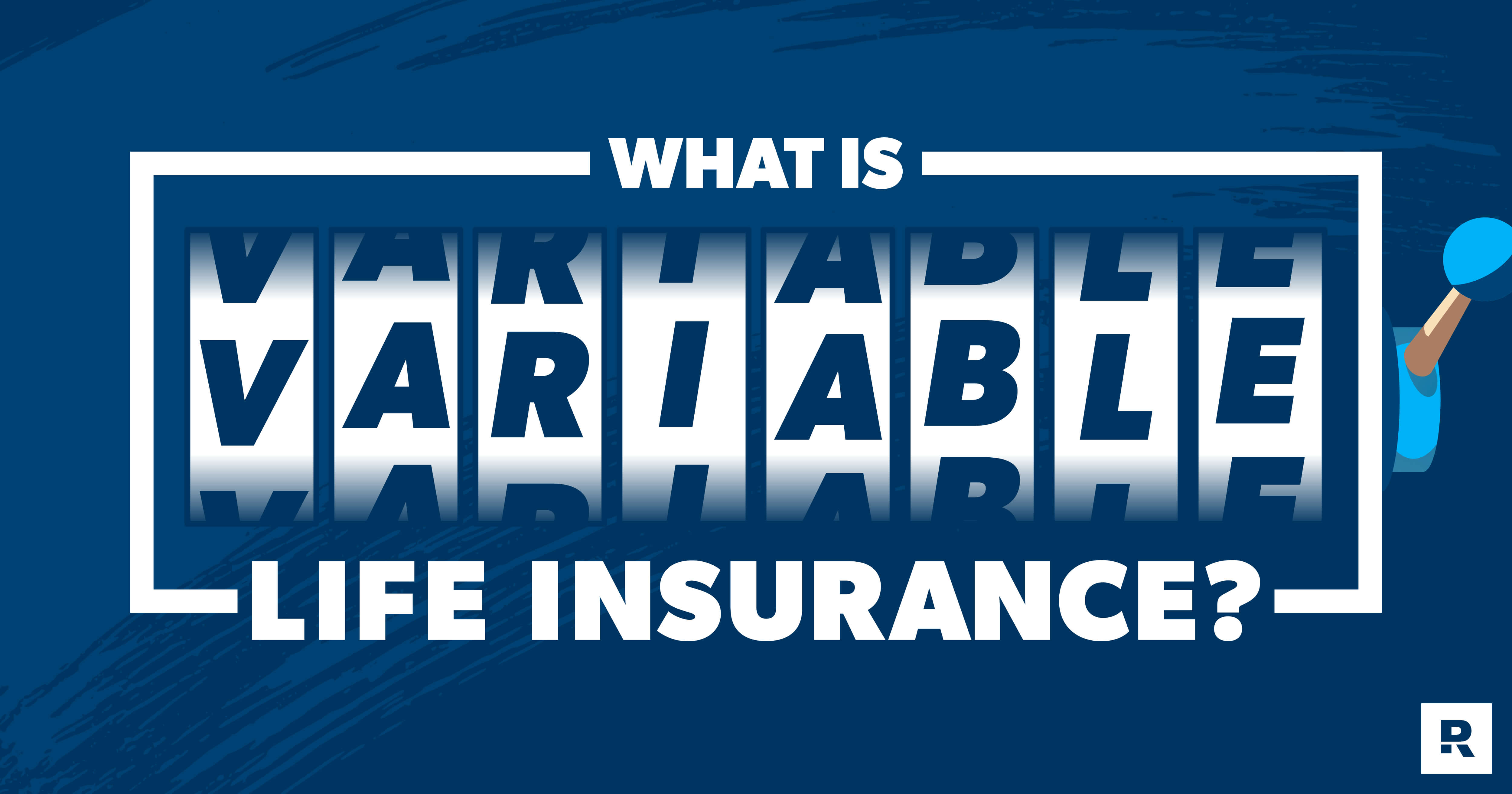 is variable life insurance risky? 