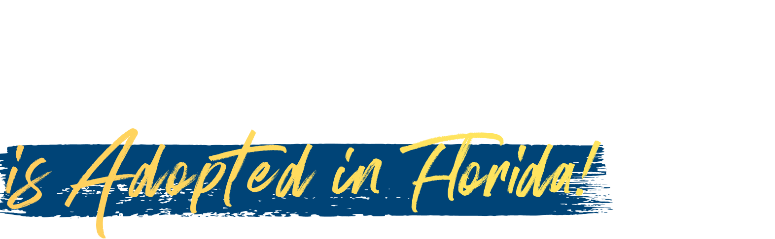 Our Personal Finance and Economics Curricula is Adopted in Florida!