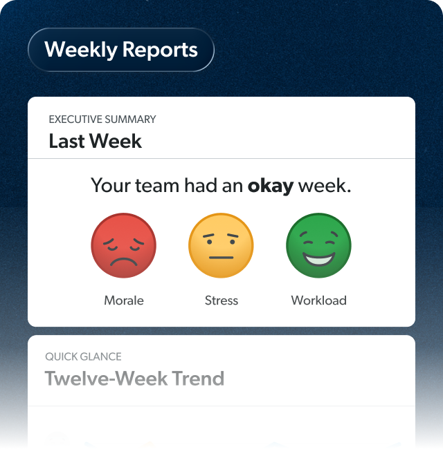 Weekly Report Tool