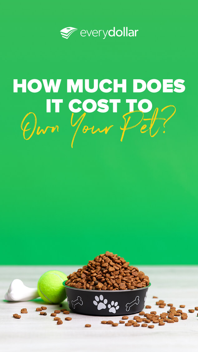 How to Budget for Your Pet The Cost of Owning a Pet