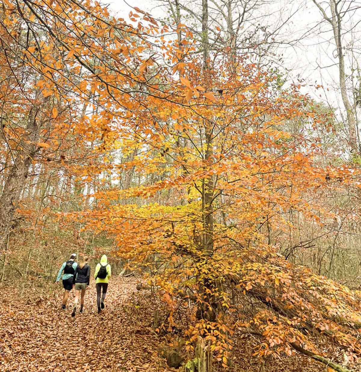 hiking in nature