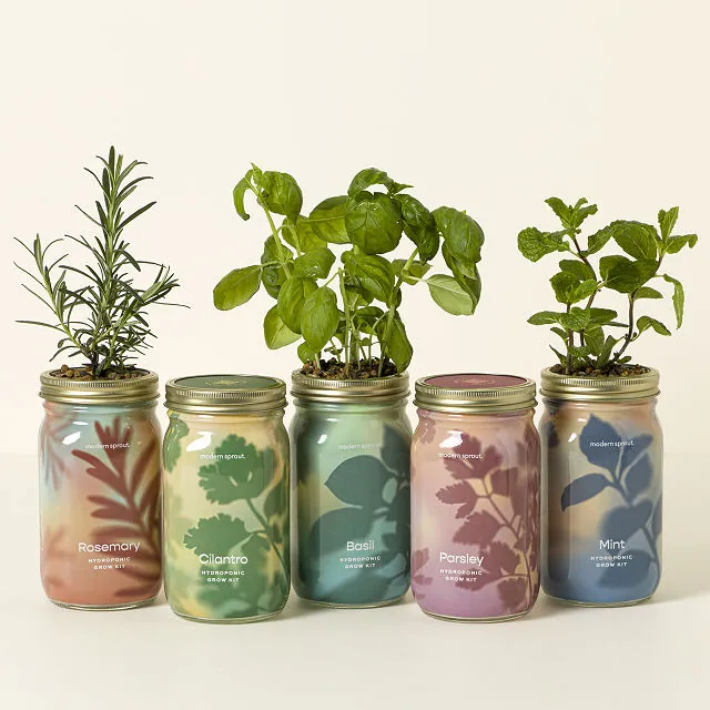 herb garden