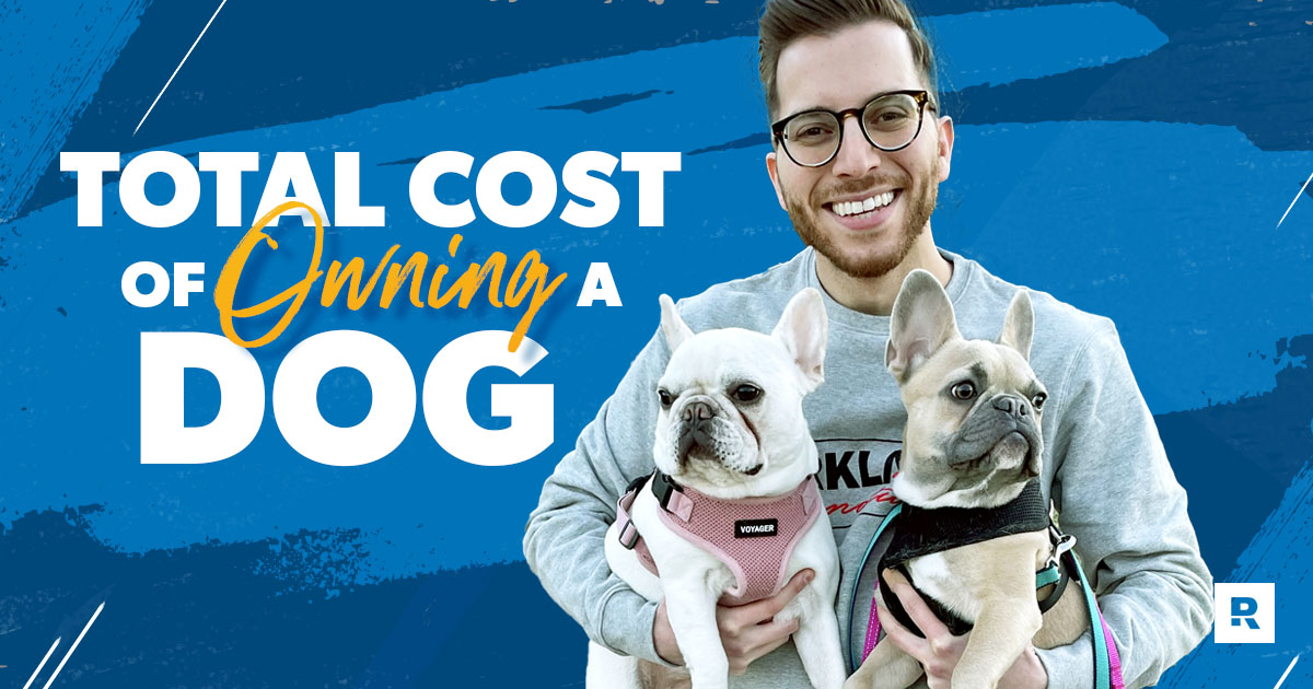 Cost of Owning a Dog: From Initial Cost to Annual Essentials