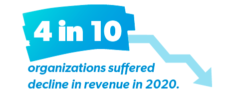 Decline in Revenue in 2020 