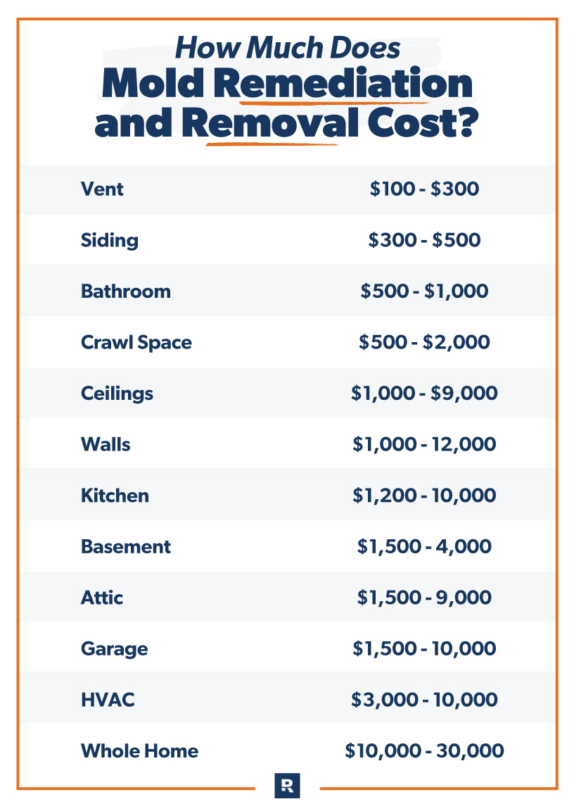 How Much Does Mold Remediation And Removal Cost 