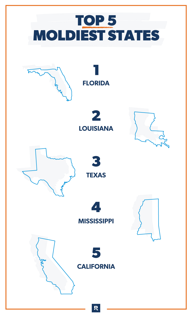 top five moldiest states to live in 