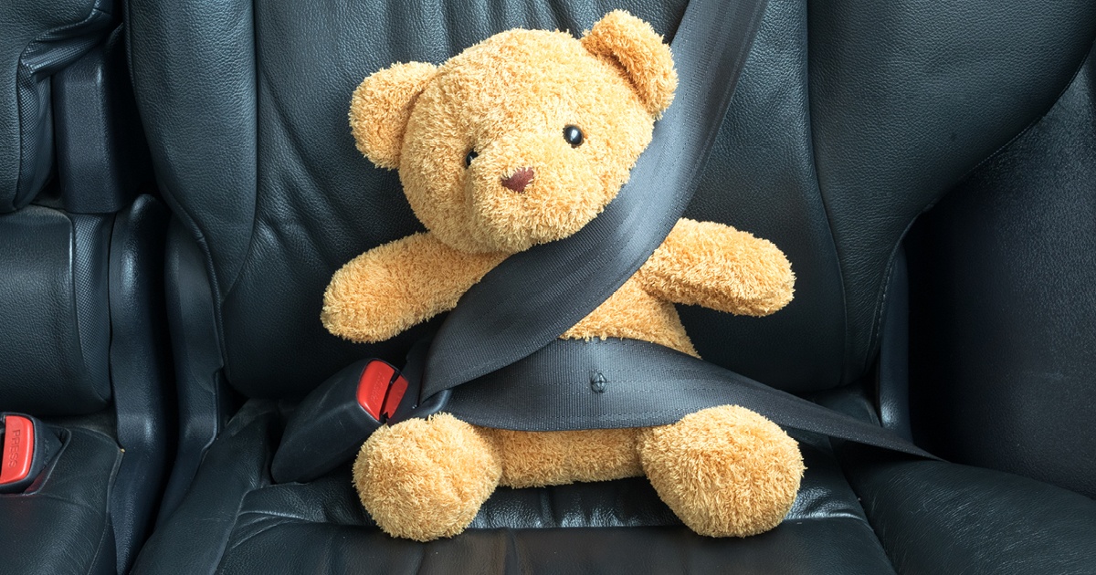 Teddy bear buckled in with a seat belt
