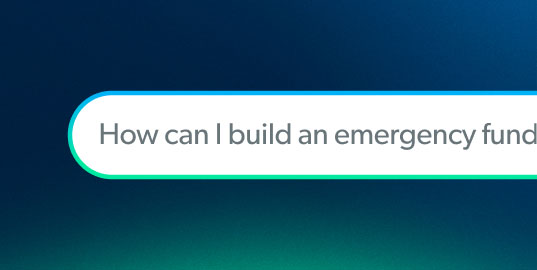 Chat field with the text "How can I build an emergency fund?" visible