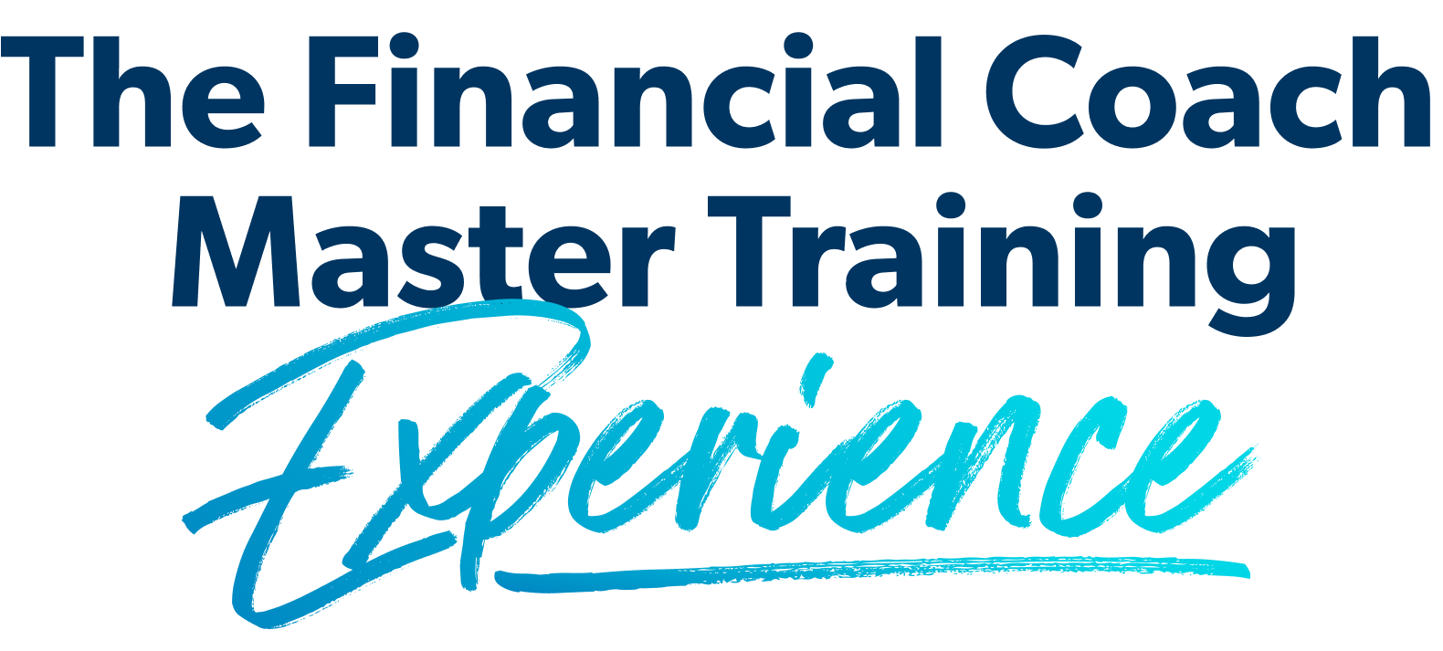 Financial Coach Master Training Experience
